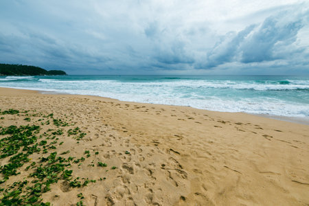 A tranquil yet dramatic beach scene featuring stormy skies and gentle waves.の写真素材