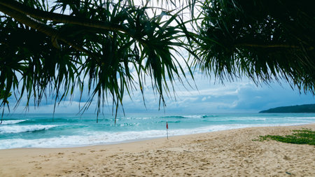 A tranquil scene of waves gently lapping a sandy beach under a cloudy sky.の写真素材