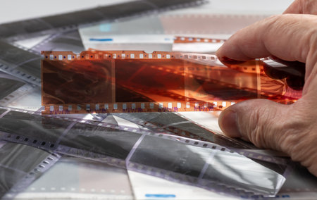 A person holding a strip of colour film negatives to examine the processing results.の写真素材