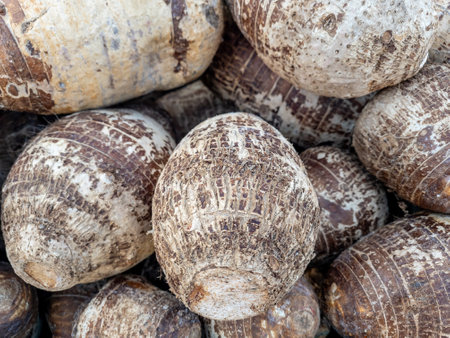 Close up of a heap of harvested yam.の写真素材
