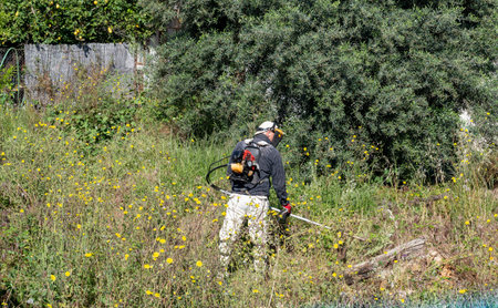 A person using a power trimmer to clear an overgrown field.