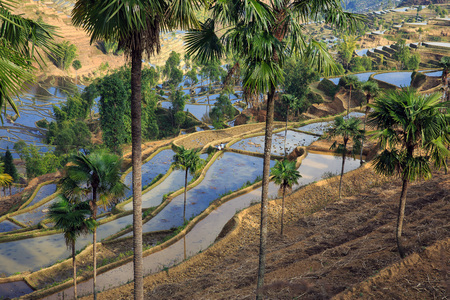 View of terraces during the dayの写真素材