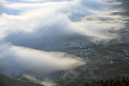 Terraces in Yunnan, Chinaの写真素材