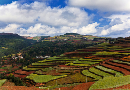 Dongchuan red landの写真素材