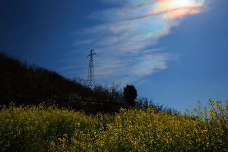 Sunset view of natureの写真素材