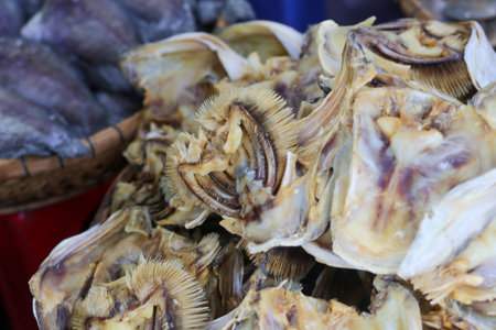 Closeup of dried fish sale in Chau Doc Market, An Giang Provinceの写真素材