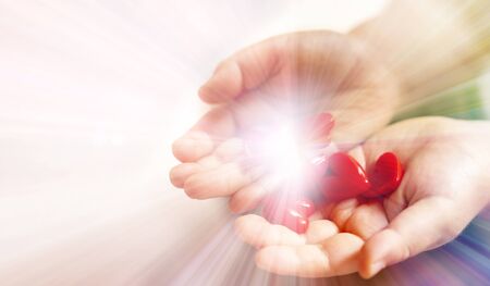 Little child holding red hearts, close up isolated and light with energy on white background. health care, love and family concept, world heart day.の写真素材