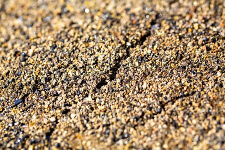 Dried cracked or rich earth soil ground texture background. crack pattern of sunny rich earth soil and copy space and yellow.の写真素材