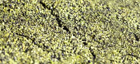 Dried cracked or rich earth soil ground texture background. crack pattern of sunny rich earth soil and copy space and yellow.の写真素材
