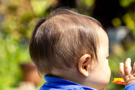 A close up shot of the back of a black-haired baby's head and close up and copy space.の写真素材