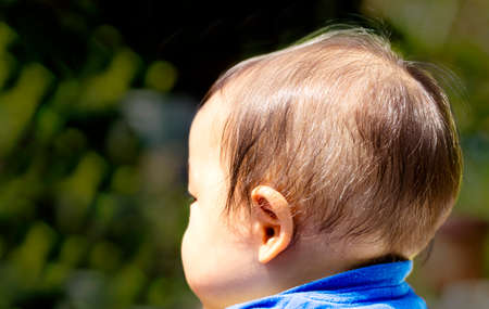A close up shot of the back of a black-haired baby's head and close up and copy space.の写真素材