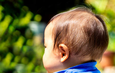 A close up shot of the back of a black-haired baby's head and close up and copy space.の写真素材