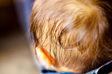 close up of the back of a black-haired baby's head and no face and copy space.baby's hair wet for sweat.の写真素材
