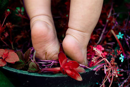 Close-up of the bare foot of the baby getting on the flowerpot and red plant and copy space.の写真素材