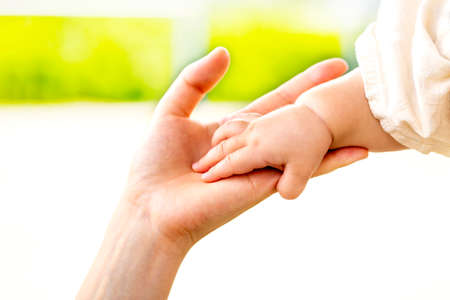 Family scene , close up parent and baby holding hands together and green and whier background with copy space.の写真素材