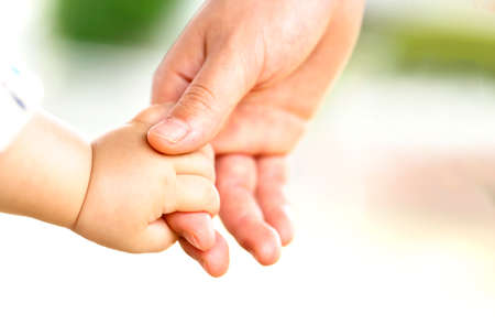 Family scene , close up parent and baby holding hands together and green and whier background with copy space.の写真素材