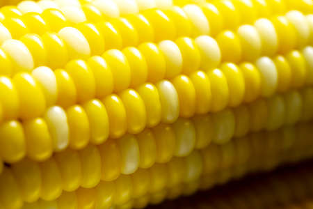 close view on Homemade golden corn cob. close up.の写真素材