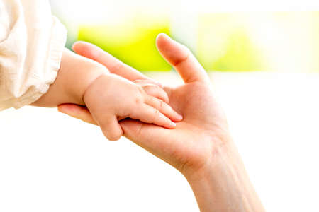 Family scene , close up parent and baby holding hands together and green and white background with copy space.の写真素材