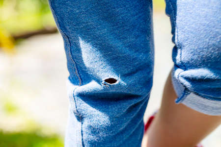 blue jeans with holes walking in the garden background and copy space.の写真素材
