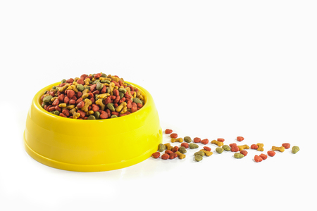 dogs foodの写真素材