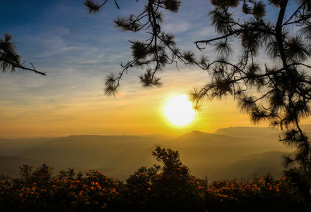 Morning sky with sunrise on the mountains treeの写真素材