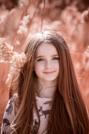 Portrait of little girl in field in the summerの写真素材