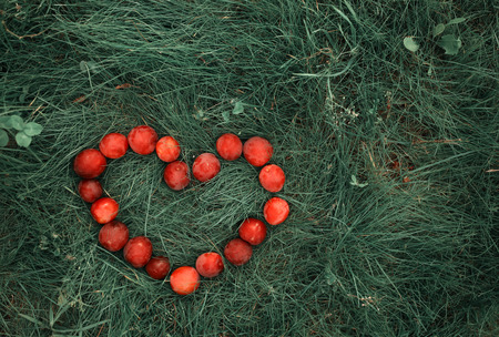 Plum in heart form lying on the grass in green summer garden. Free space for tex. Love symbol.の写真素材