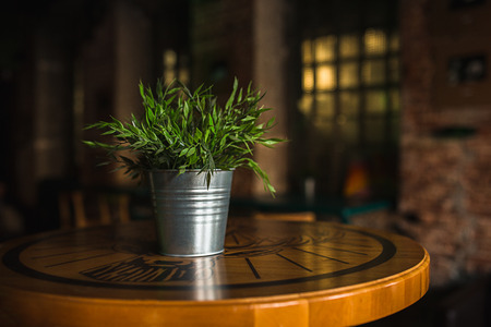 Wooden table in cafe on blurred Bokeh background as art digign work for cutted isolated objects of food. Bar check in the morning. Lifestyle concept.Green spring plant in metal iron pot bucket on deskの写真素材