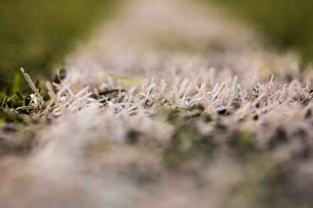 green grass pattern for football sport, Football field, soccer field, team sport texture. White stripe on it. Close up focus. Macro photo.の写真素材