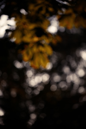 Colorful bokeh background. abstract blurred circles in nature colors. Copyspace for design and textの写真素材