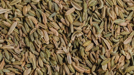 Fennel spice. Macro photography. Food photography conceptの写真素材