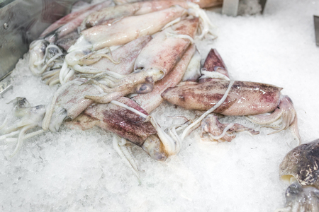 Close up food image of raw frozen squid on ice on the market.の写真素材