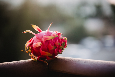Close up food image of dragon fruit. Travel inspiration photo with a small depth of field. Blur background with copyspace for design.の写真素材