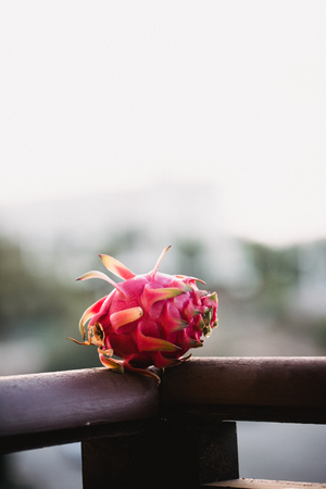 Close up food image of dragon fruit. Travel inspiration photo with a small depth of field. Blur background with copyspace for design.の写真素材