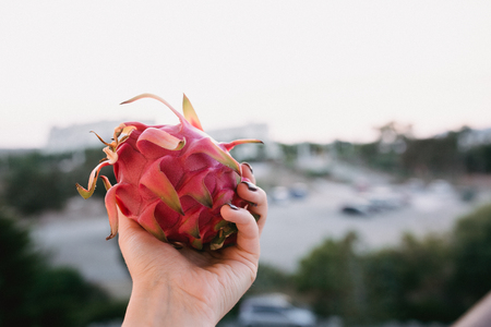 Close up food image of dragon fruit in woman's hand. Travel inspiration photo with a small depth of field. Blur background with copyspace for design.の写真素材