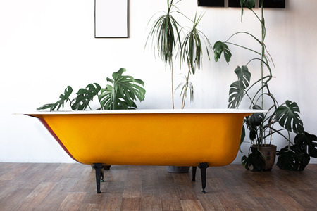 Design of loft Interior of bathroom or room. White walls with free copyspace. Trend green - palm leaves on background. Modern design yellow bath.の写真素材