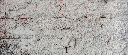 Concrete texture. Macro photo. Banner size for designの写真素材