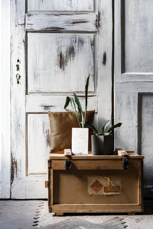 Modern design of loft Interior of living room. Grey wooden walls with free copyspace. Trend green in concrete pots on old wood box.の写真素材