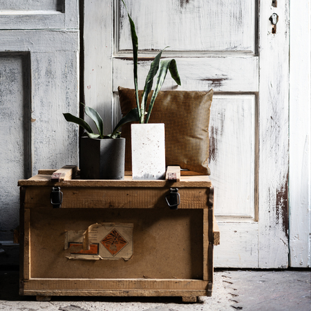 Modern design of loft Interior of living room. Grey wooden walls with free copyspace. Trend green in concrete pots on old wood box.の写真素材