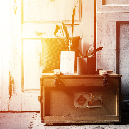 Modern design of loft Interior of living room. Grey wooden walls with free copyspace. Trend green in concrete pots on old wood box. Sunlight flare copyspace for text and design.の写真素材