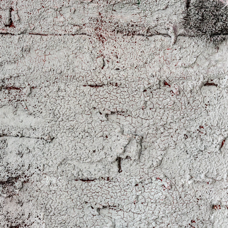 Concrete texture. Macro photo. Hall with mounting and grid.の写真素材