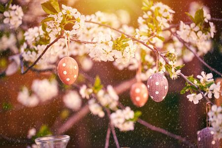 Easter eggs on bokeh colorful background. Holiday conceptの写真素材