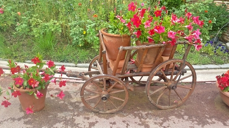 Flower carriageの写真素材