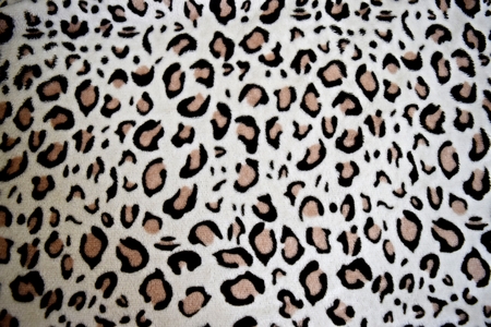 leopard patternの写真素材