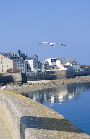 a part of coastline in roscoff, brittanyの写真素材