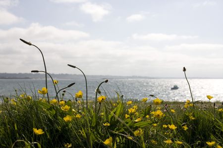 a view of the sea in brittany