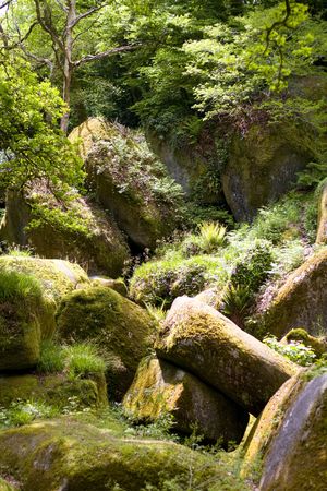 bigs rocks in a brittany forestの写真素材