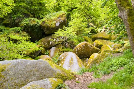 bigs rocks in a brittany forestの写真素材