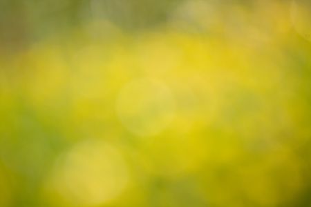 blur background green yellow nature natural beauty modern background shiny roundの写真素材