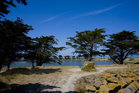 part of the island of noirmoutierの写真素材